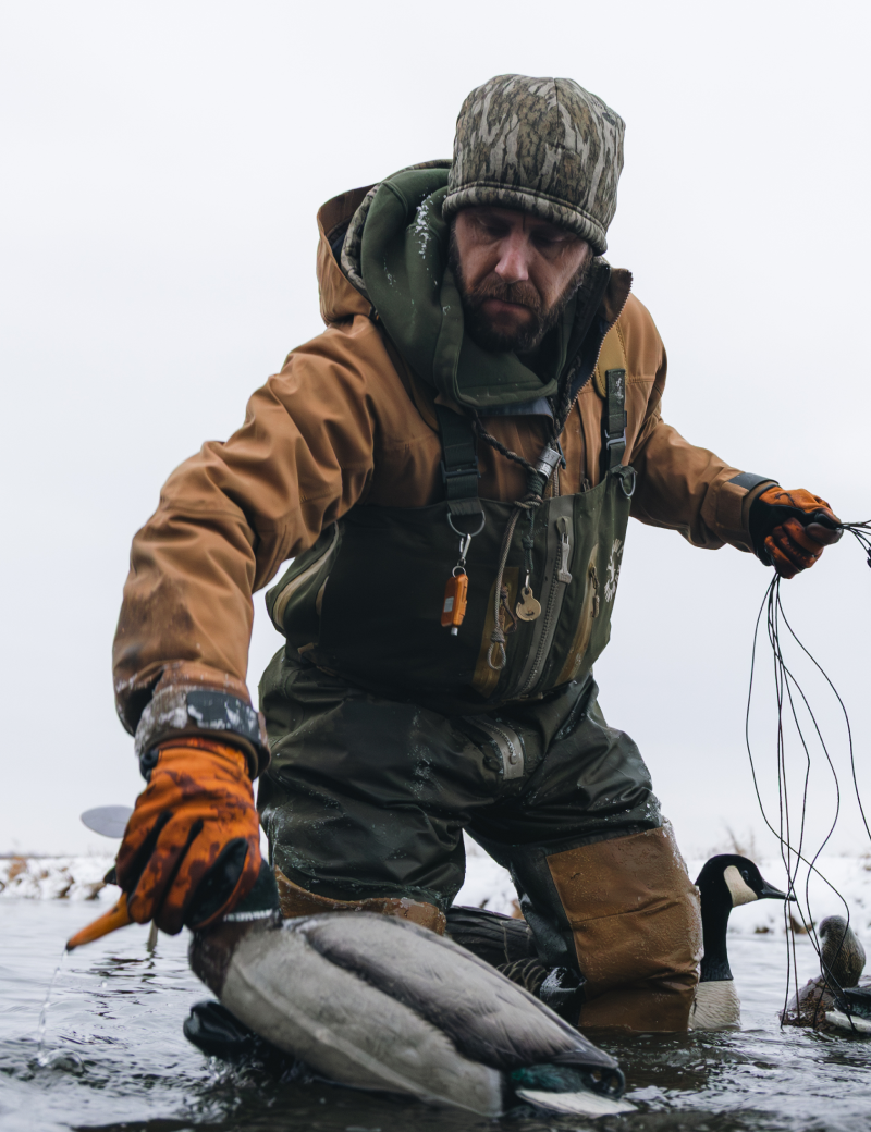 Waterfowl Hunting